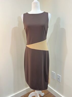 Express Brown Nude Asymmetrical Dress Boat Neck Office Career size 10